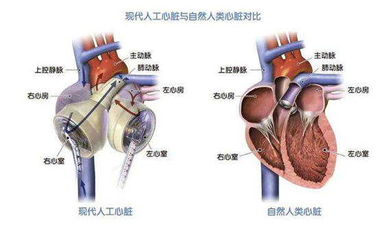 微信图片_20230202151455.png