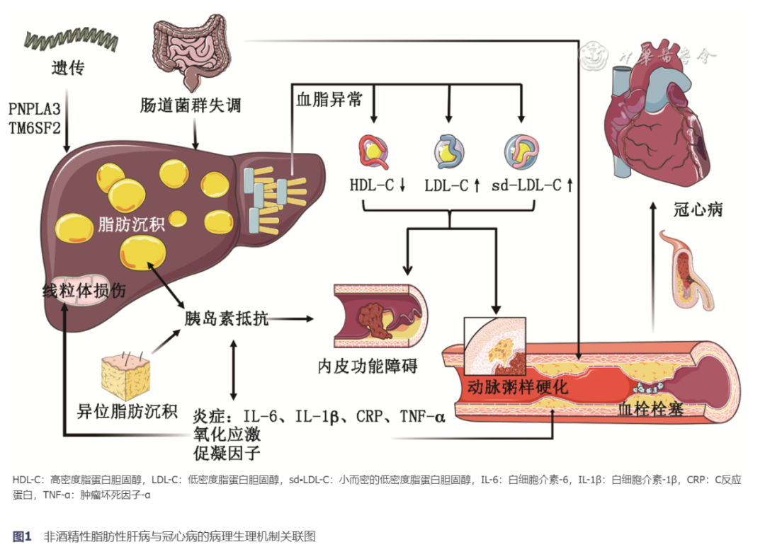 微信图片_20230207172801.png