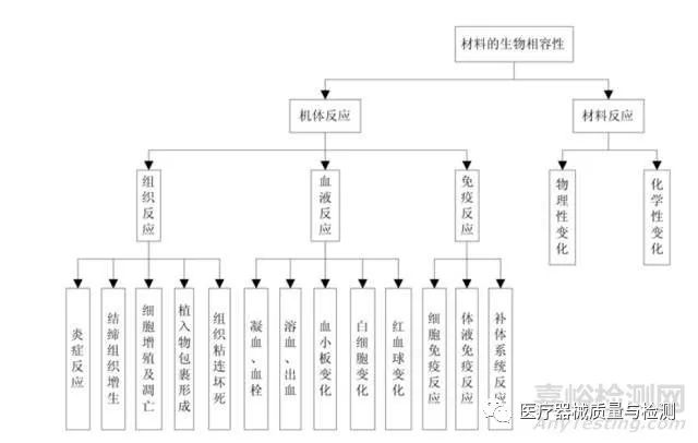 微信图片_20230224152038.jpg