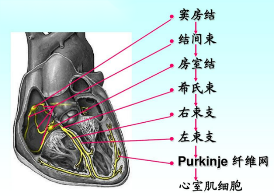 微信图片_20230306154515.png